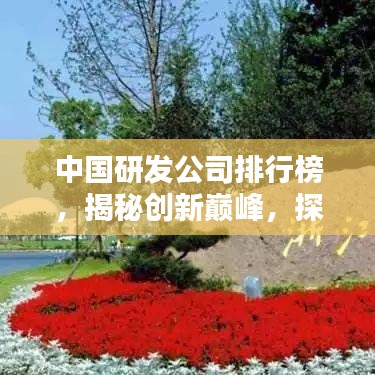 2025年6月3日 第3页