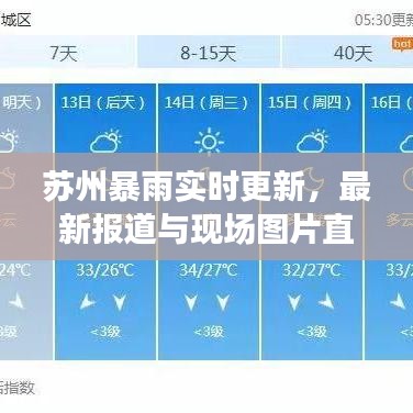 2025年6月4日 第7页