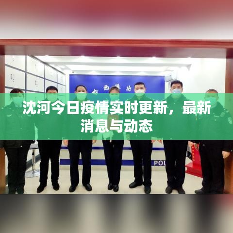 沈河今日疫情实时更新，最新消息与动态