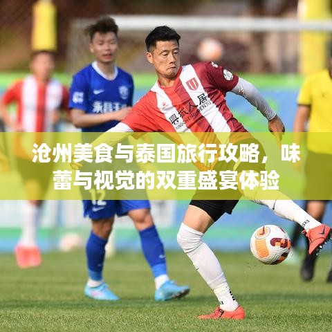 沧州美食与泰国旅行攻略，味蕾与视觉的双重盛宴体验