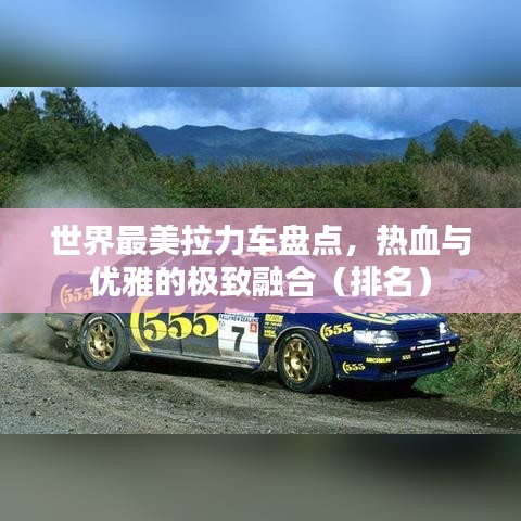 世界最美拉力车盘点，热血与优雅的极致融合（排名）