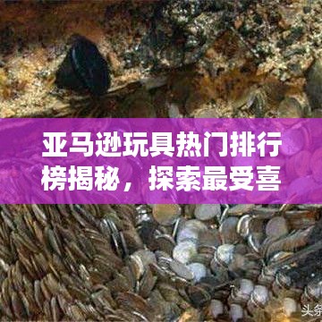 亚马逊玩具热门排行榜揭秘，探索最受喜爱的玩具宝藏！