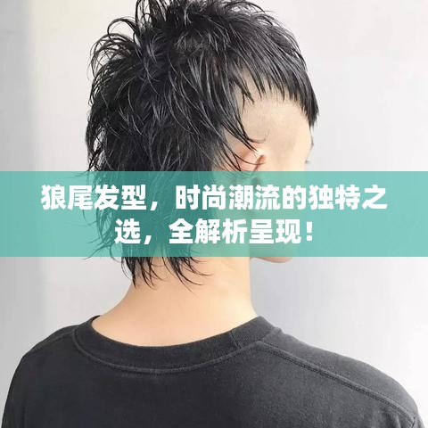 狼尾发型，时尚潮流的独特之选，全解析呈现！