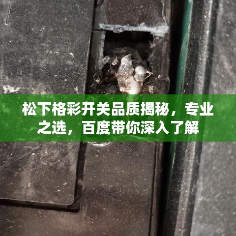 松下格彩开关品质揭秘，专业之选，百度带你深入了解