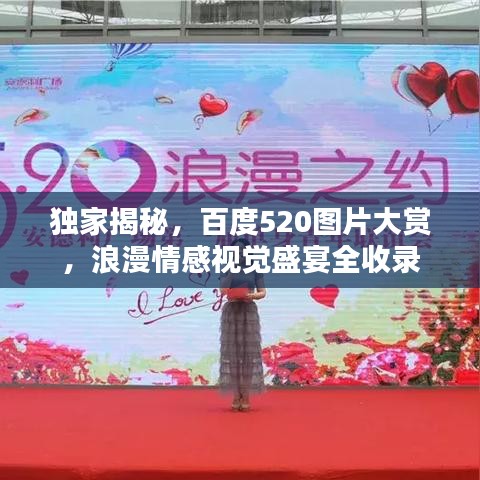 独家揭秘，百度520图片大赏，浪漫情感视觉盛宴全收录