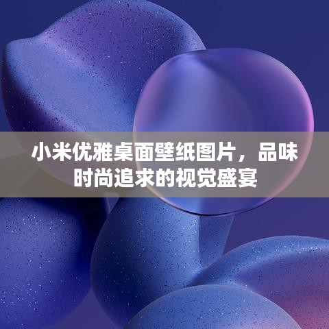 小米优雅桌面壁纸图片，品味时尚追求的视觉盛宴