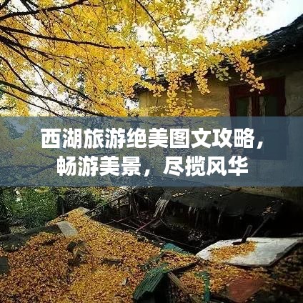2025年6月5日 第15页