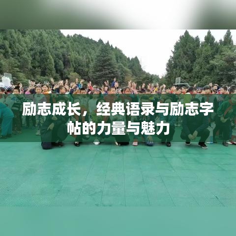 2025年6月5日 第14页
