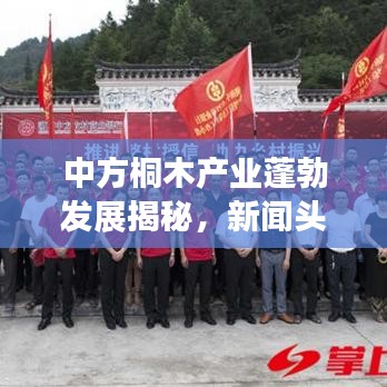2025年6月5日 第12页