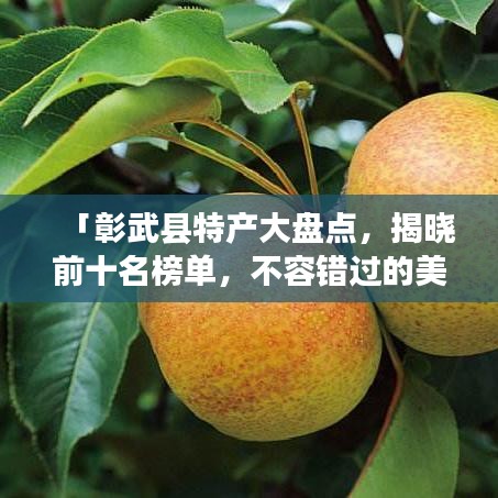 「彰武县特产大盘点，揭晓前十名榜单，不容错过的美味之旅！」