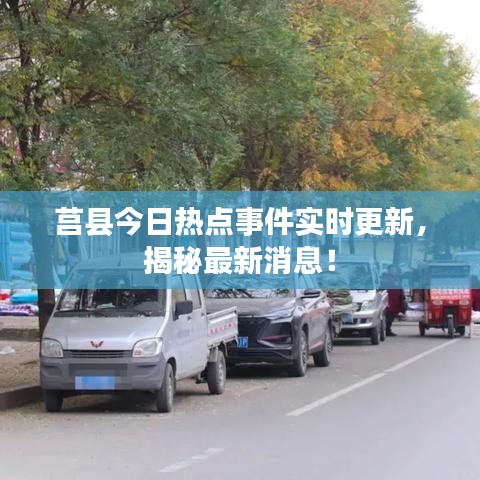 莒县今日热点事件实时更新，揭秘最新消息！