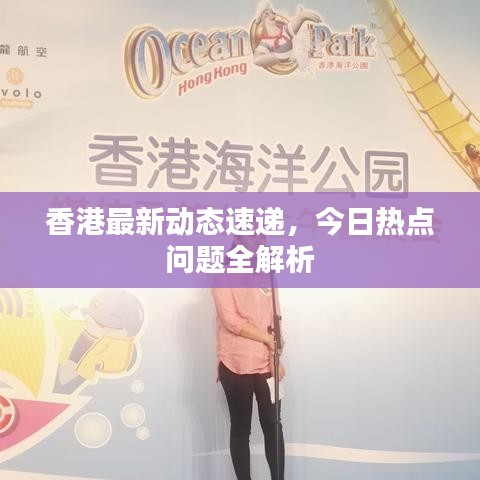 香港最新动态速递，今日热点问题全解析