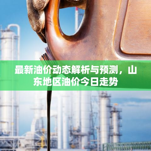 最新油价动态解析与预测，山东地区油价今日走势