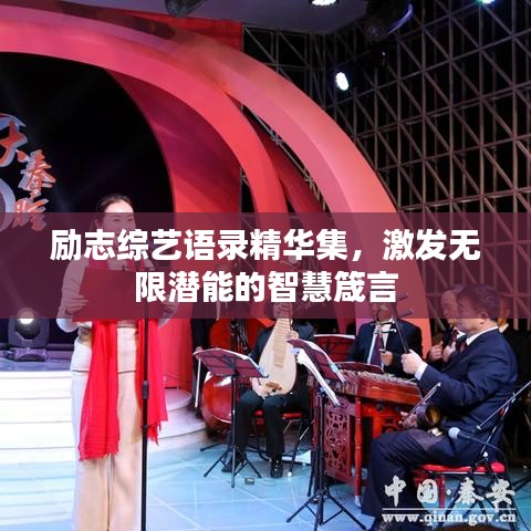 励志综艺语录精华集，激发无限潜能的智慧箴言