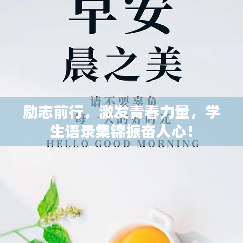 励志前行，激发青春力量，学生语录集锦振奋人心！