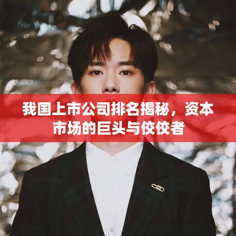 我国上市公司排名揭秘，资本市场的巨头与佼佼者