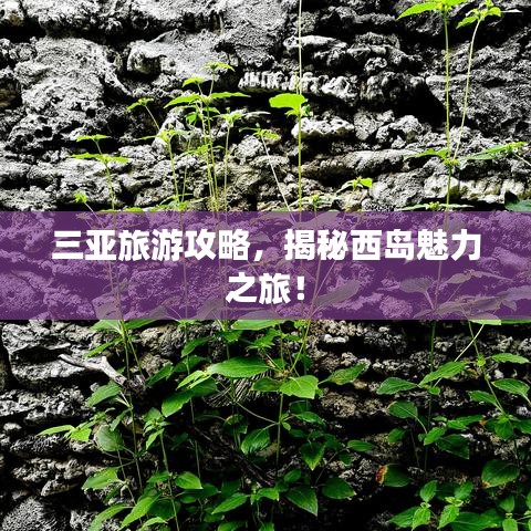 三亚旅游攻略，揭秘西岛魅力之旅！