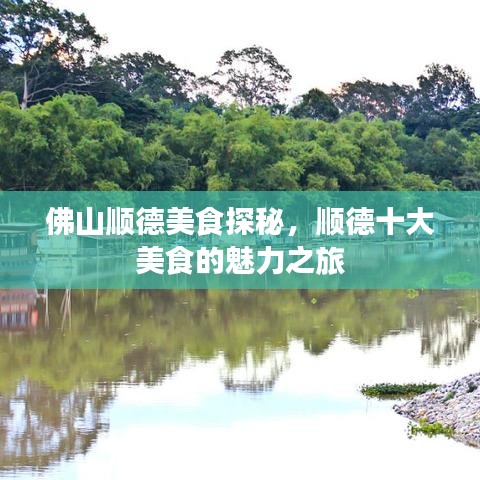 佛山顺德美食探秘，顺德十大美食的魅力之旅