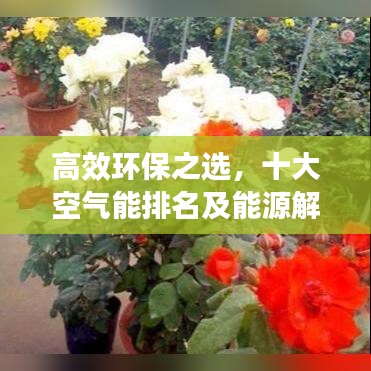 高效环保之选，十大空气能排名及能源解决方案解析