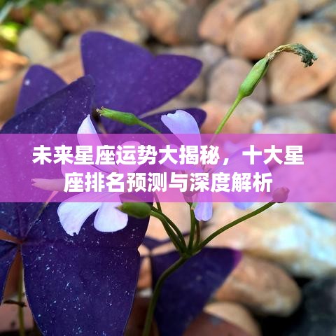 未来星座运势大揭秘，十大星座排名预测与深度解析