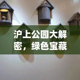 沪上公园大解密，绿色宝藏等你来探索！旅游攻略全攻略