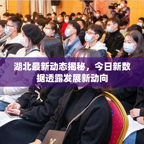 湖北最新动态揭秘，今日新数据透露发展新动向