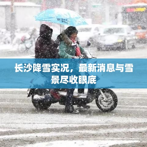 2025年6月6日 第3页