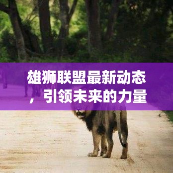 雄狮联盟最新动态，引领未来的力量与策略揭秘