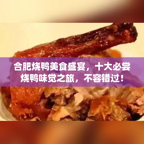 合肥烧鸭美食盛宴，十大必尝烧鸭味觉之旅，不容错过！