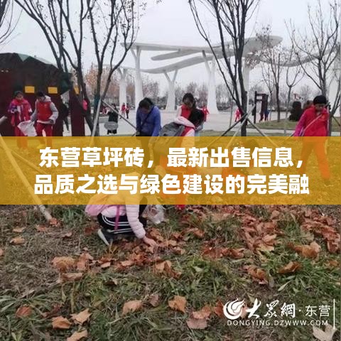 东营草坪砖，最新出售信息，品质之选与绿色建设的完美融合