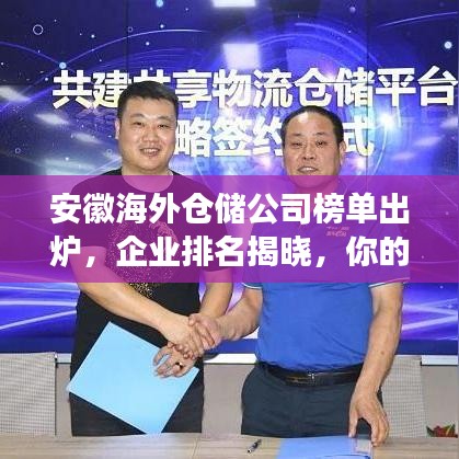 安徽海外仓储公司榜单出炉，企业排名揭晓，你的公司上榜了吗？