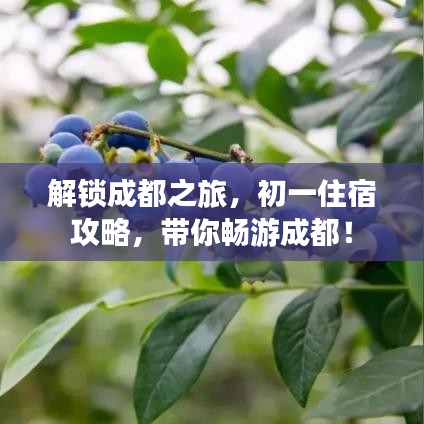 解锁成都之旅，初一住宿攻略，带你畅游成都！
