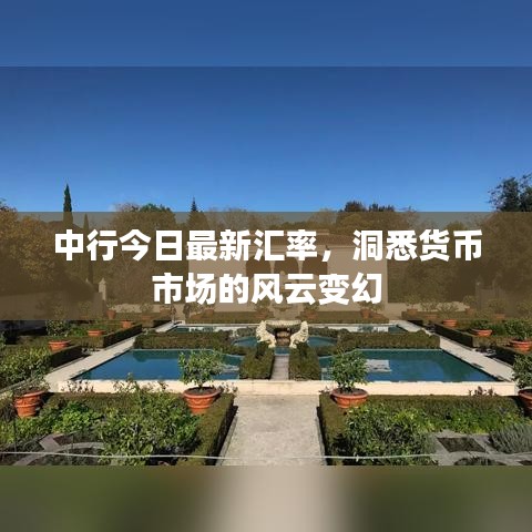 中行今日最新汇率，洞悉货币市场的风云变幻