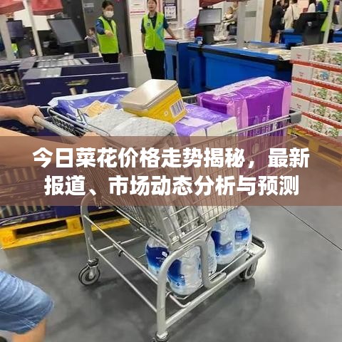 今日菜花价格走势揭秘，最新报道、市场动态分析与预测