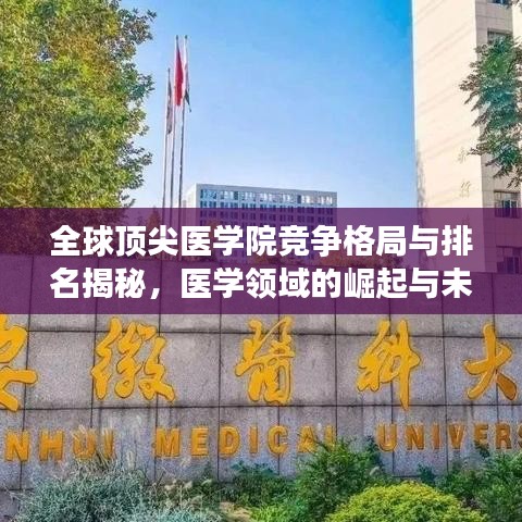 全球顶尖医学院竞争格局与排名揭秘，医学领域的崛起与未来发展趋势