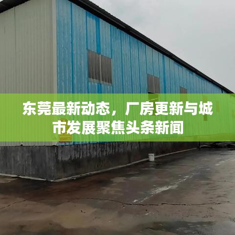 东莞最新动态，厂房更新与城市发展聚焦头条新闻