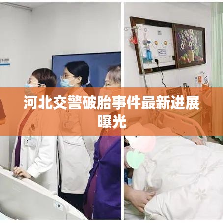 河北交警破胎事件最新进展曝光