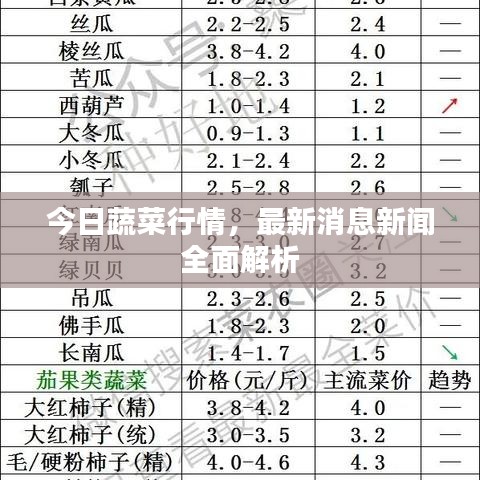今日蔬菜行情，最新消息新闻全面解析