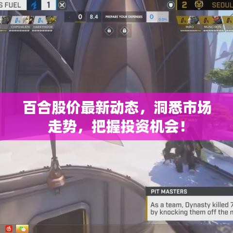 百合股价最新动态，洞悉市场走势，把握投资机会！