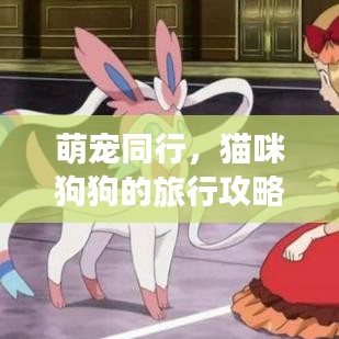 萌宠同行，猫咪狗狗的旅行攻略，共度美好时光！
