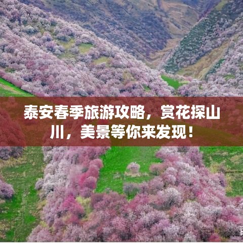 泰安春季旅游攻略，赏花探山川，美景等你来发现！