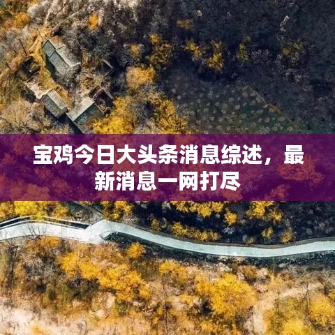 宝鸡今日大头条消息综述，最新消息一网打尽