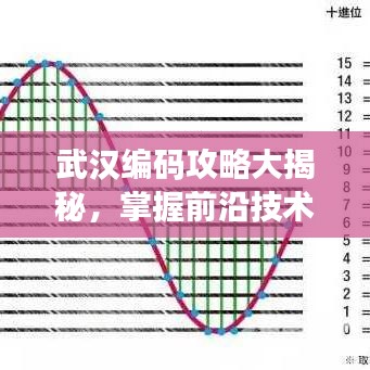 武汉编码攻略大揭秘，掌握前沿技术，引领数字化风潮