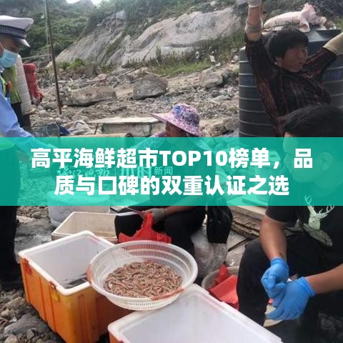 高平海鲜超市TOP10榜单，品质与口碑的双重认证之选