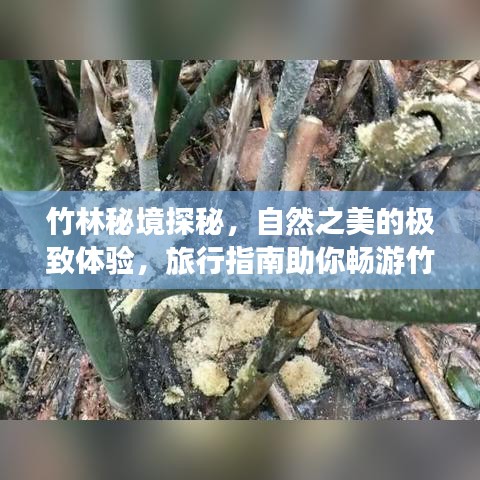 2025年6月7日 第8页