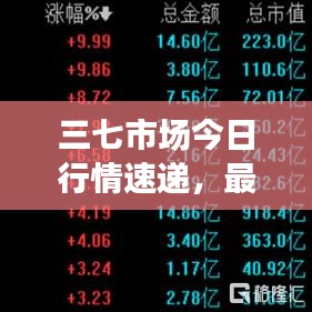 三七市场今日行情速递，最新价格、深度分析与未来展望