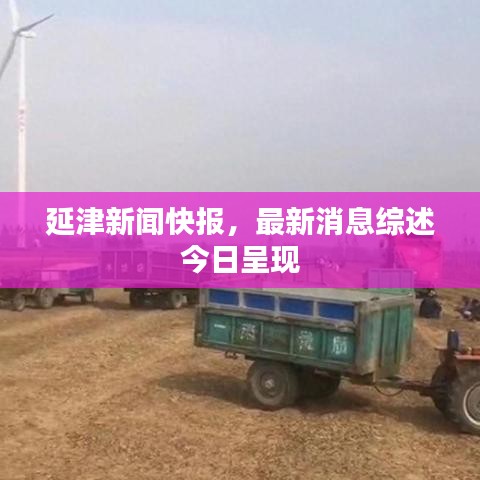 延津新闻快报，最新消息综述今日呈现