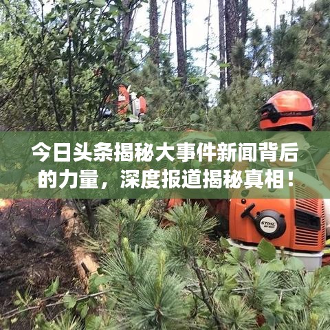 今日头条揭秘大事件新闻背后的力量，深度报道揭秘真相！