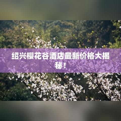 绍兴樱花谷酒店最新价格大揭秘！