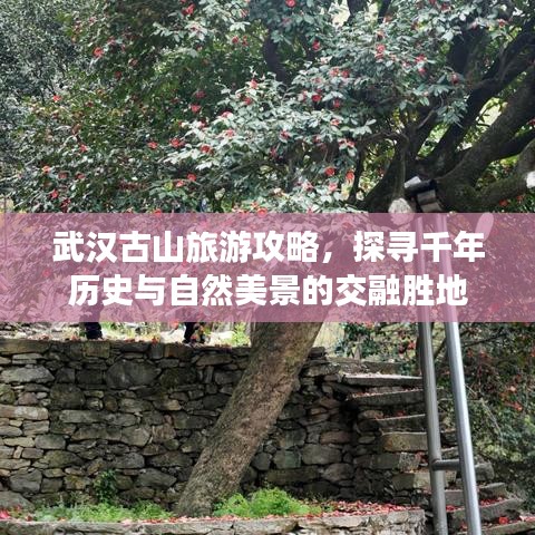 武汉古山旅游攻略，探寻千年历史与自然美景的交融胜地